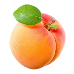 Apricot