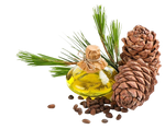 Cedarwood