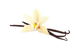 Vanilla