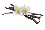 Vanilla - o flora